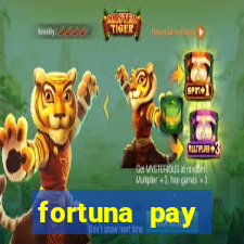 fortuna pay consultoria financeira ltda